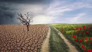 Clima e incuria prosciugano l’Isola, eppure l’acqua e i soldi ci sono