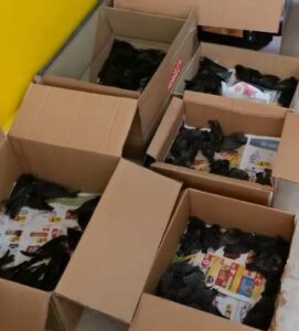 Ragusa, 400 rondoni collassati in 24 ore VIDEO