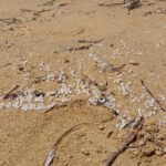 Polimeri a Kaucana, la plastica è ricchezza, non rifiuto