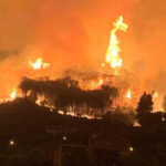 Incendi: Coldiretti, roghi in Sicilia? E' progetto criminale