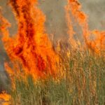 Ispica, nuove immagini dell’inferno a Punta Ciriga  VIDEO