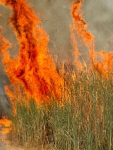 Ispica, nuove immagini dell’inferno a Punta Ciriga  VIDEO