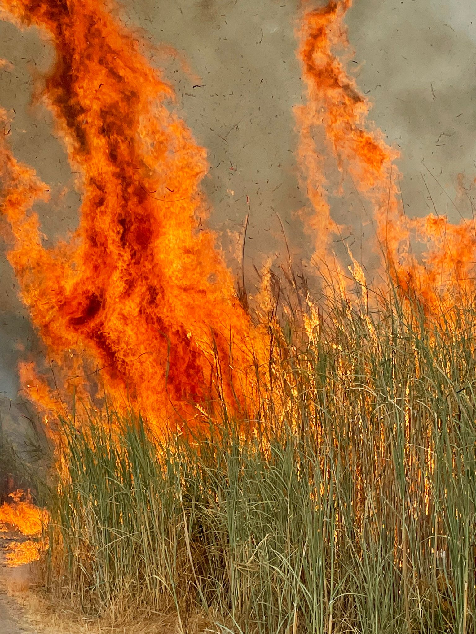 Ispica, nuove immagini dell’inferno a Punta Ciriga  VIDEO
