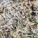 Caucana, altra plastica in spiaggia: inviateci le vostre segnalazioni