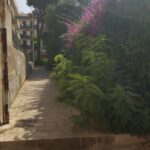 I mancati lavori di ripristino  al parco verde di via risorgimento a Modica