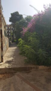I mancati lavori di ripristino al parco verde di via risorgimento a Modica