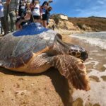 La grande Onda è arrivata da Punta Bianca in Albania VIDEO