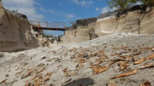 C’era una volta l’Alcantara: il fiume che muore, non solo di siccità FOTO