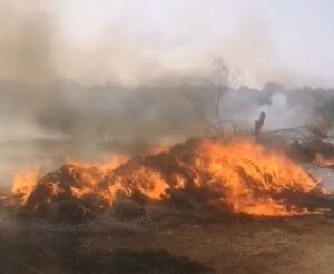«Basta fumarole a Vittoria, mia figlia è intossicata»
