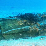 Archeologia, ritrovato il rostro di una nave della battaglia delle Egadi