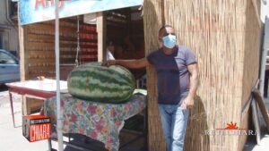 Una anguria di 116 chili in Sicilia