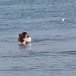 La cabina di regia nazionale grazia l’Isola per una questione di decimali