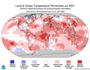 Entro la fine del secolo le temperature in Italia potrebbero toccare i 55 gradi
