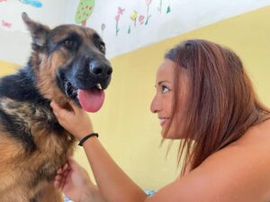 Blitz dell’animalista Rizzi coi carabinieri a casa del padrone violento