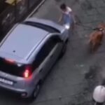La ragazza col cane e l’automobilista sull’area pedonale VIDEO