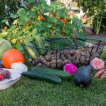 Alimenti brucia grassi per dieta dimagrante: quali sono
