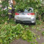 Cade un albero su un'auto a Vittoria