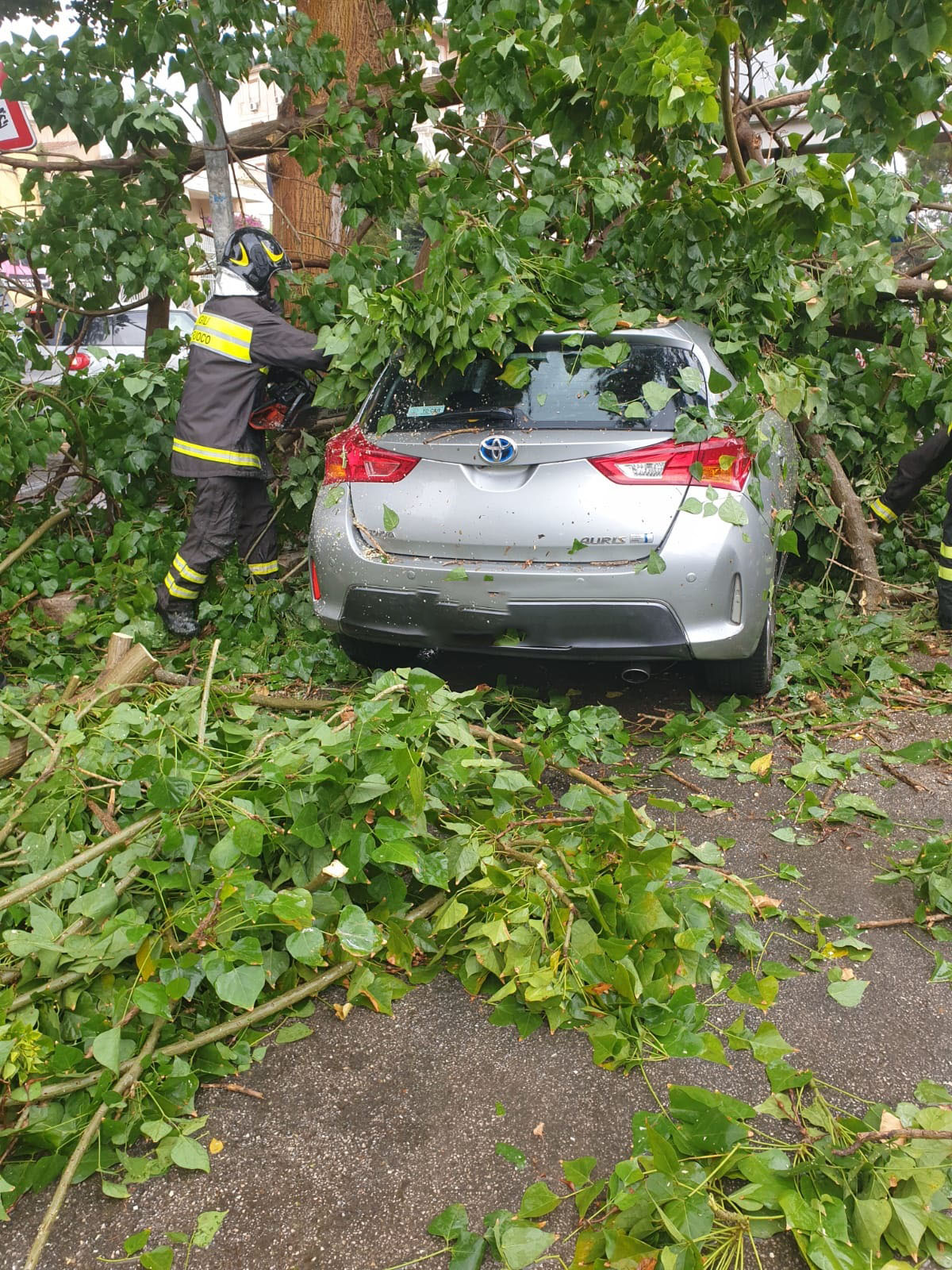 Cade un albero su un’auto a Vittoria