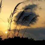 Meteo, temperature in netto calo: le previsioni della settimana
