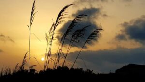 Meteo, temperature in netto calo: le previsioni della settimana