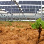 Energia: Falck Renewables, lending crowdfunding per parco a Scicli