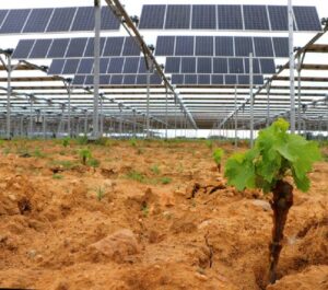 Energia: Falck Renewables, lending crowdfunding per parco a Scicli