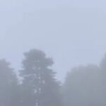 Nevica a Piano Provenzana VIDEO