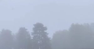 Nevica a Piano Provenzana VIDEO