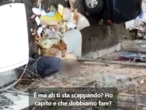Catania, la finestra sul porcile VIDEO