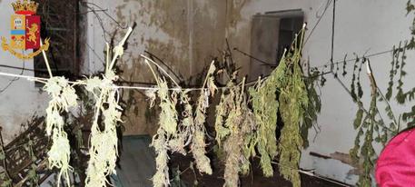 Marijuana in essicazione, arrestato 15enne a Lentini