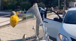 Sindaco zozzone butta i rifiuti in strada, ma è un “esperimento” VIDEO