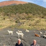 Vulcano: allevatori,pascoli lontani,nostro bestiame Ã¨ sicuro