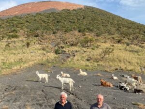 Vulcano: allevatori,pascoli lontani,nostro bestiame Ã¨ sicuro