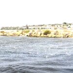 In attesa dell'uragano Medicane, gabbiani riparano al porto di Donnalucata