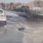I Morti di fame impantananti: “C’è anche il salvagente a 5 euro” VIDEO