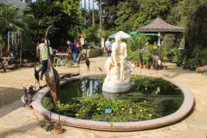 Torna La Zagara d' Autunno all'Orto Botanico di Palermo