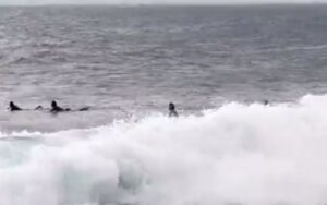 I No Medicane: nel Catanese c’è chi fa surfâ€¦ VIDEO