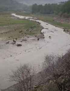 Ragusa, il fiume Irminio gonfiato dalle piogge VIDEO