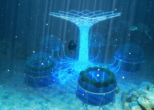 Serre sottomarine, coltivare verdure sott’acqua