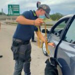 Auto prese a noleggio e poi rivendute, un arresto a Palermo