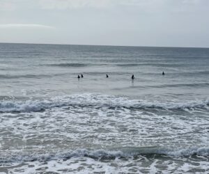 7 novembre, surfisti a Cava d'Aliga