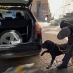 Droga: corriere con R