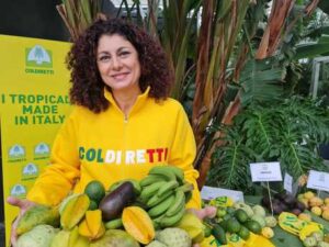 Cop26:Coldiretti;clima cambia,boom frutta tropici in Italia