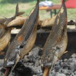 A dieta con lo sgombro: la rivincita del cugino povero del tonno