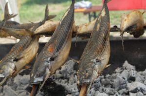 A dieta con lo sgombro: la rivincita del cugino povero del tonno