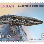 La lucertola delle Eolie ritratta in francobollo celebrativo