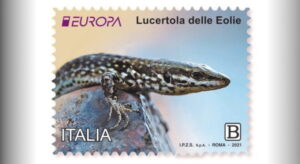 La lucertola delle Eolie (in via di estinzione) su un francobollo