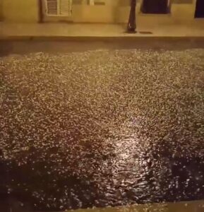 Violenta grandinata ad Acate VIDEO