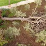 Modica, il giorno dopo il tornado: il VIDEO col drone