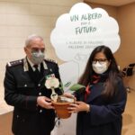 Cento 'Alberi di Falcone' alle scuole siciliane